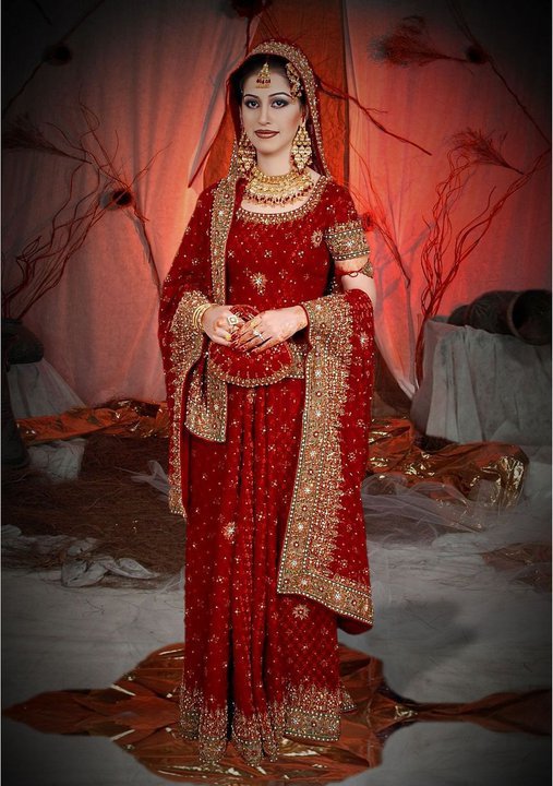 Scarlet Elegance: Embroidered Red Suit